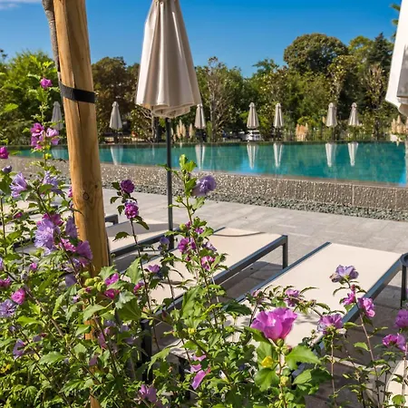 Apartment Pool View Azur Deluxe & Varna
